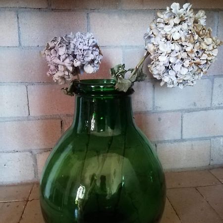 La Cuppulata Apartman Budoni Kültér fotó