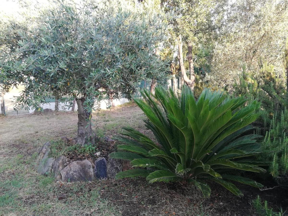 La Cuppulata Apartman Budoni Kültér fotó