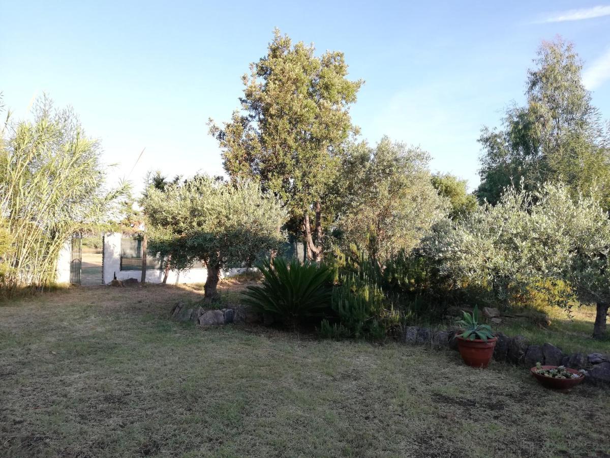 La Cuppulata Apartman Budoni Kültér fotó
